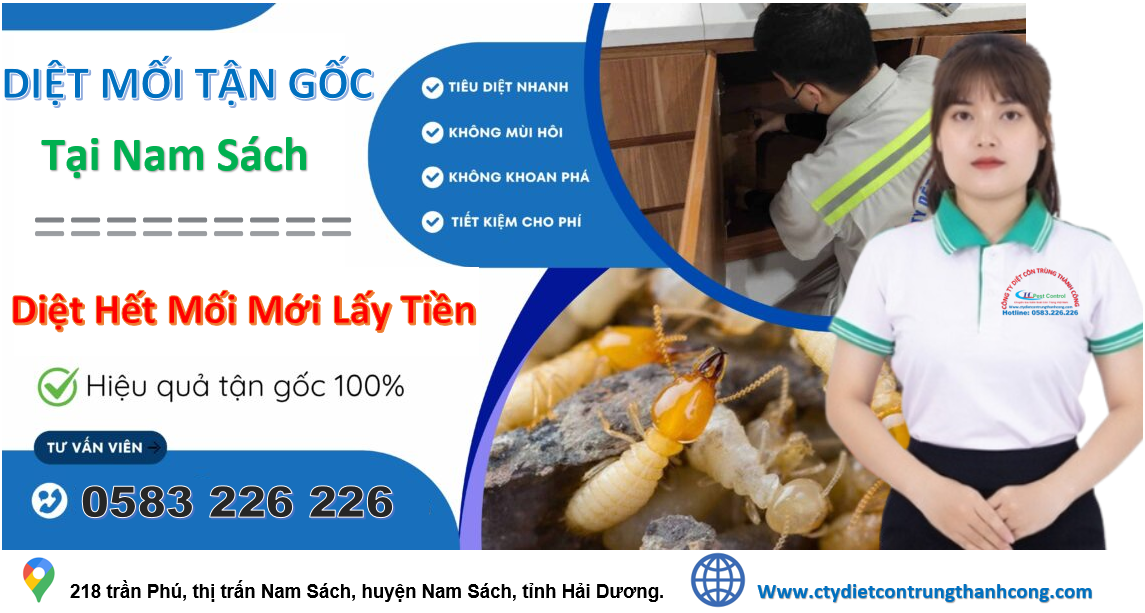Dịch vụ diệt mối tại huyện Nam Sách