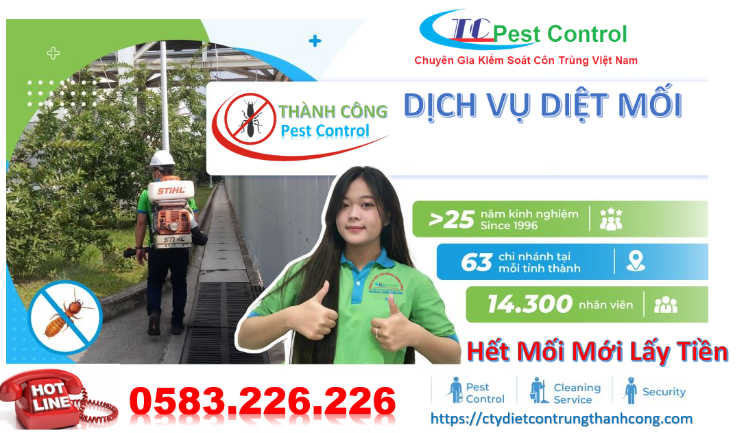 Công ty diệt mối uy tín tại Thái Bình