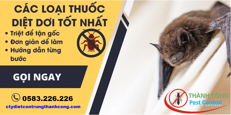 Dịch vụ bắt dơi tại Hải Phòng