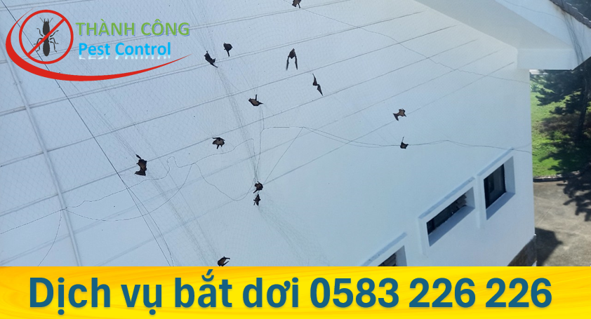 Liên hệ dịch vụ bắt dơi 0583 226 226