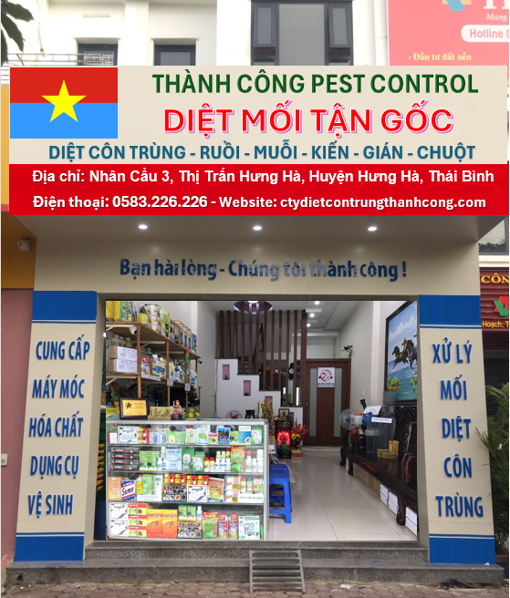 5 đơn vị diệt mối tại Thái Bình uy tín