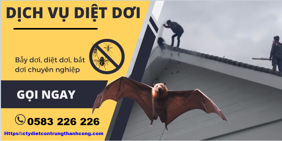 Dịch vụ bắt dơi chuyên nghiệp