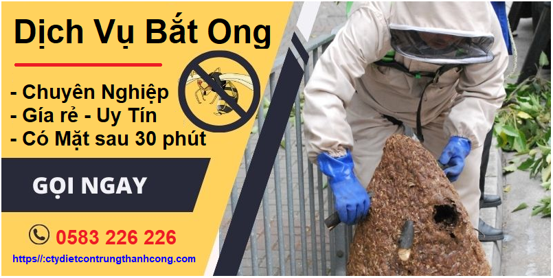Liên hệ dịch vụ bắt ong