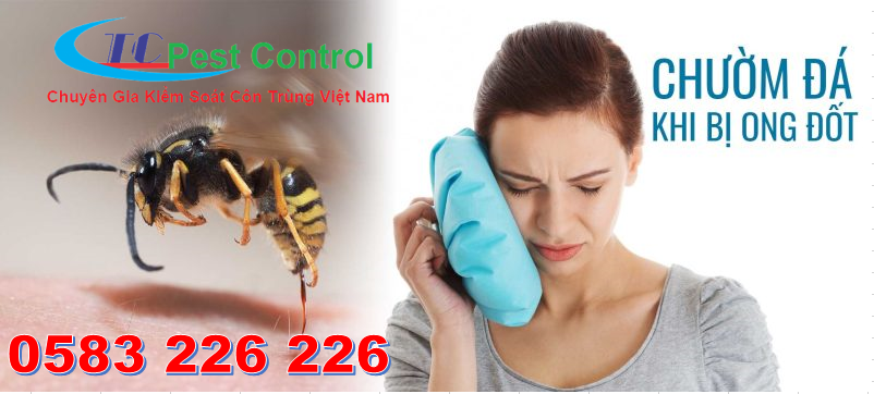 Cần làm gì khi bị ong đốt ?