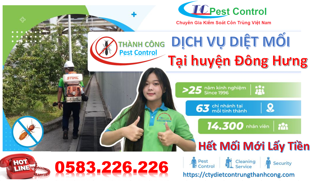 Dịch vụ diệt mối tại huyện Đông Hưng