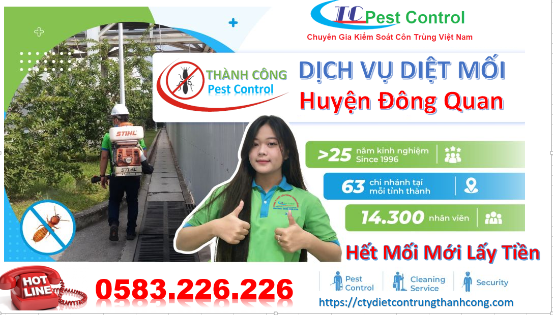 Dịch vụ diệt mối tại huyện Đông Quan