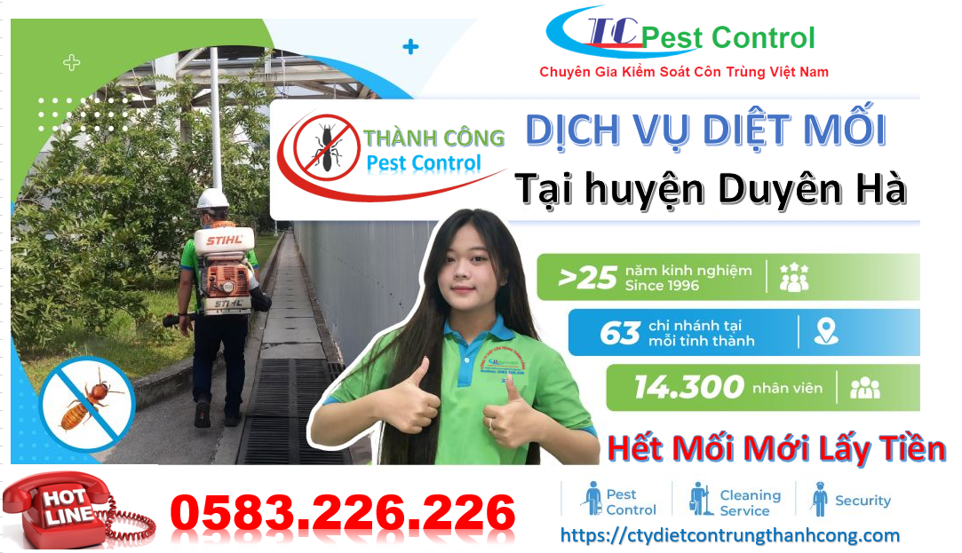 Dịch vụ diệt mối tại huyện Duyên Hà