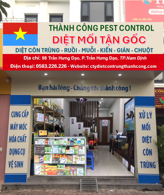 5 đơn vị diệt mối tại Hà Nam uy tín