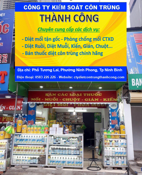 5 địa chỉ diệt mối tận gốc tại Ninh Bình uy tín