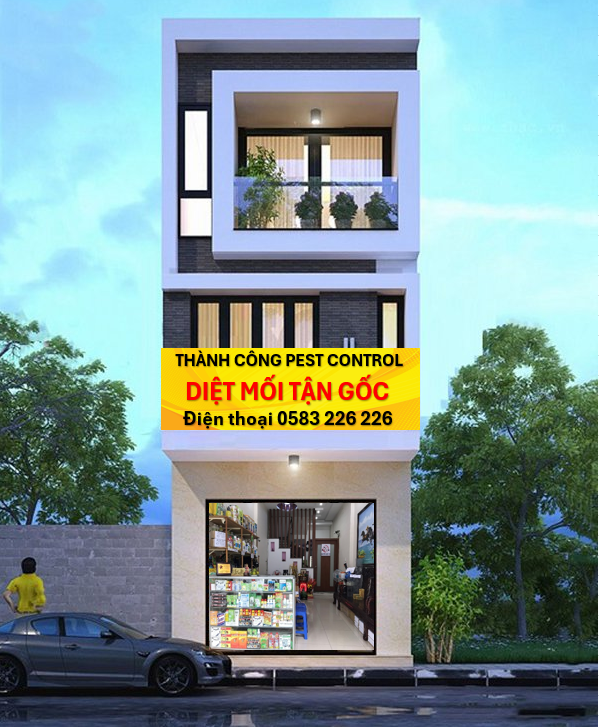 Dịch vụ diệt mối tại Nghệ An