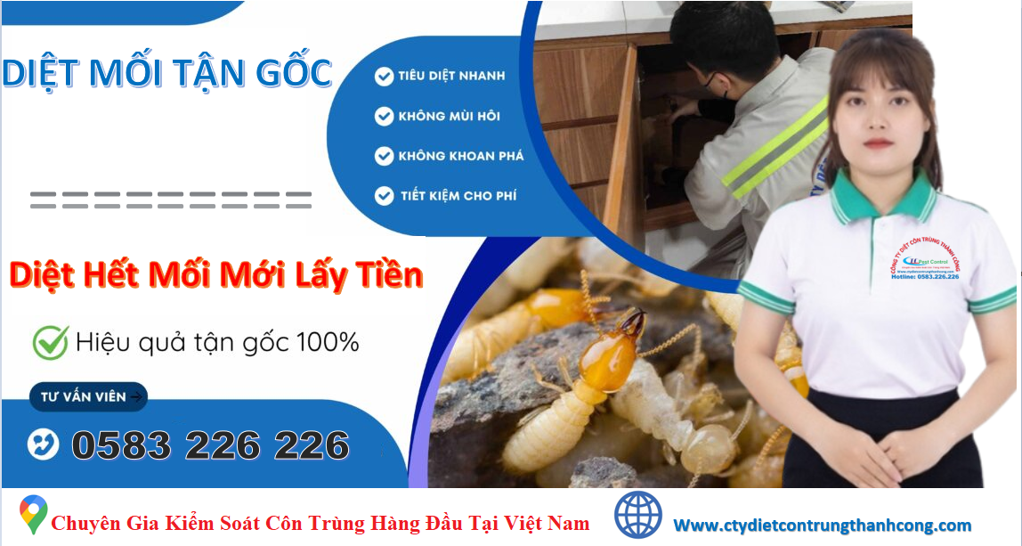 công ty diệt mối và côn trùng thành công