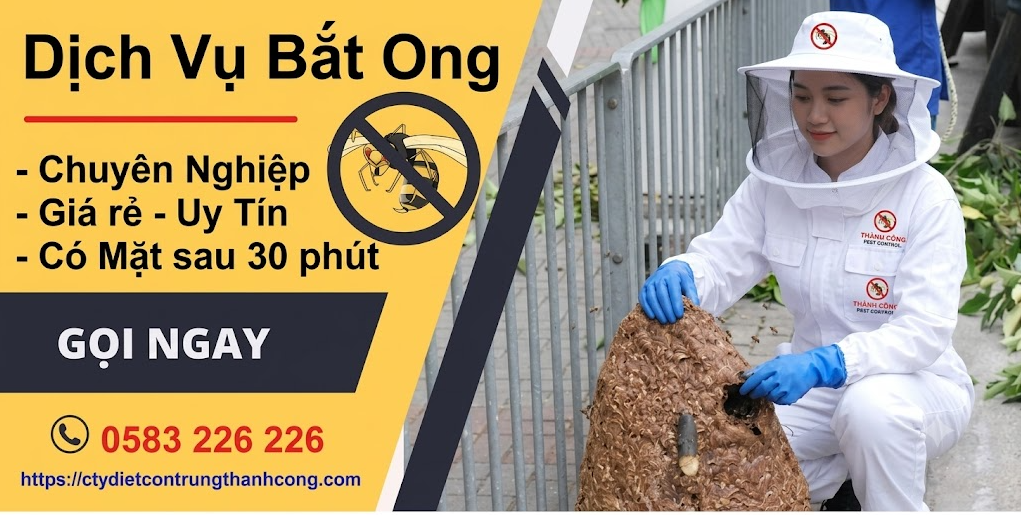 Dịch vụ bắt ong giá rẻ tại quận Tân Bình 0583 226 226