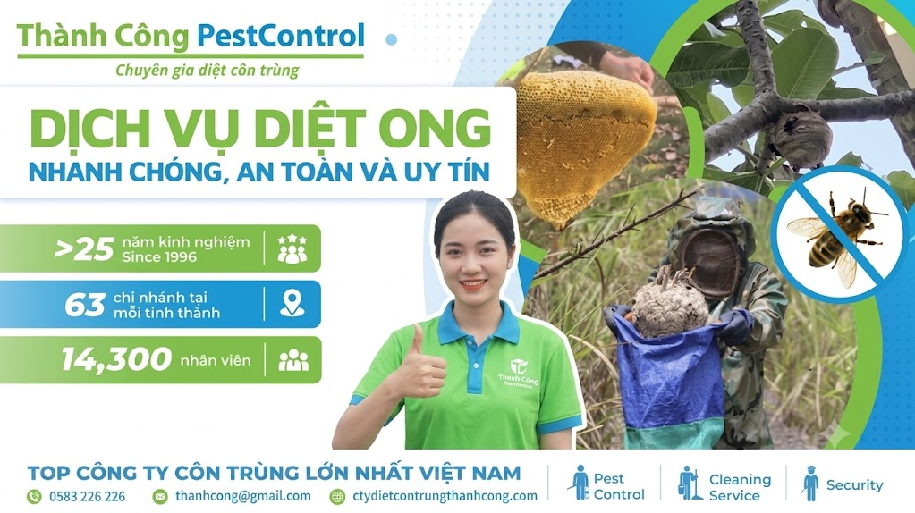 Liên hệ bắt ong chuyên nghiệp 0583.226.226